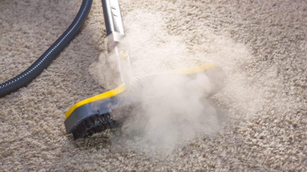 Desinfección con vapor saturado y extracción profunda